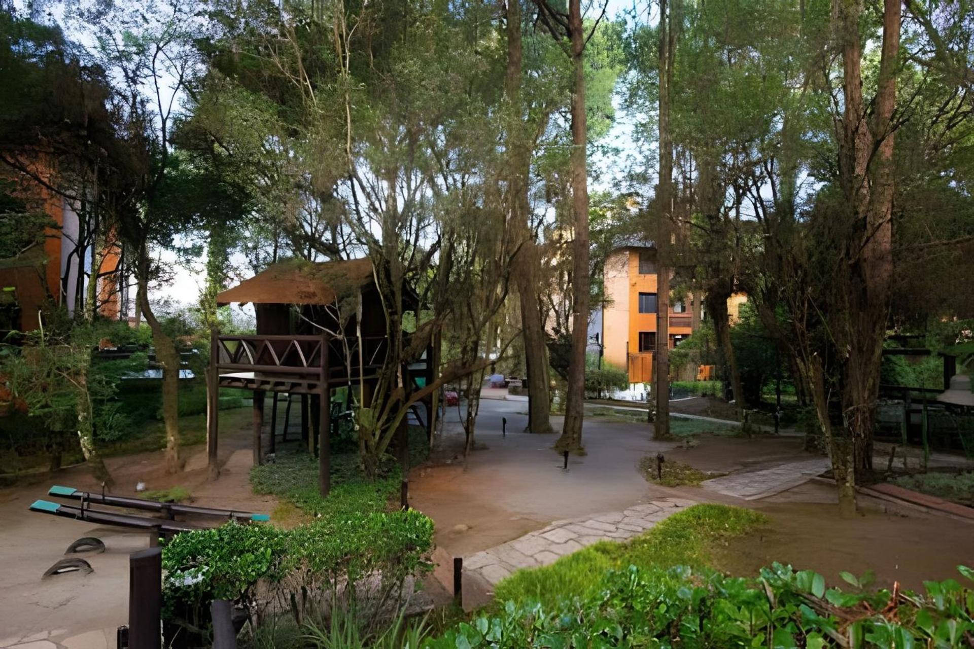 Rosa Edificio Knorrville Gramado Exteriör bild